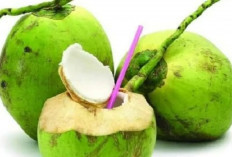 Kenali Makanan yang Sebaiknya Tidak Dikombinasikan dengan Air Kelapa Muda