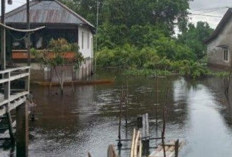 Banjir di 16 Desa Rantu Bayur Banyuasin Mulai Surut