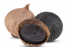 Manfaat Konsumsi Bawang Hitam Setiap Hari bagi Imunitas dan Pencernaan