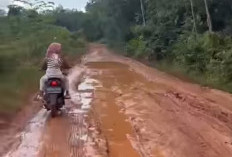 Percuma Protes! Jalan Rusak di Rimba Alai Kian Parah, Aspirasi Warga Tak Digubris