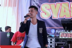 21 Wajah Baru di DPRD Banyuasin, Ada Artis Penyanyi Dangdut, Siapa Dia?