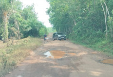 Jalan Rusak Parah, Warga 5 Desa di Banyuasin III Menjerit