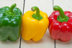 Paprika Mana yang Paling Sehat? Yuk Kenali Perbedaan Warna-warnanya