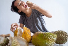 Perhatian Bagi Pencinta Durian, Batasi Konsumsi Durian Jika Tidak Ingin Mengalami Masalah Ini