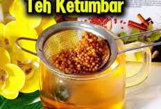 Manfaat Teh Ketumbar: Minuman Herbal untuk Jantung, Kulit, dan Pencernaan