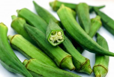 Okra Bisa Jadi Infused Water? Yuk, Coba Resep dan Manfaatnya!