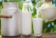 Susu Mentah vs. Susu Pasteurisasi: Mana Pilihan Terbaik untuk Kesehatan Anda?