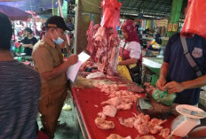 Harga Ayam Potong Tembus Rp 40.000/Kg Sehari Jelang Ramadan