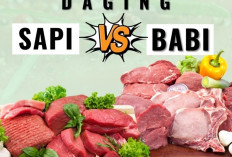 Tampak Mirip, Tapi Ternyata Sangat Berbeda! Begini Cara Membedakan Daging Sapi dan Babi