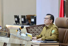 Penjabat Gubernur Sumsel Ikuti Rakor Pengendalian Inflasi Daerah 2024