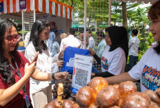 Diberdayakan BRI, Bisnis Klaster Petani Salak Ini Melejit!