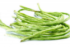 Kacang Panjang untuk Imunitas dan Tulang Kuat, Ini Faktanya!