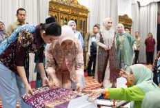 Dekranas Pusat Dukung UMKM Sumsel, Selvi Gibran Puji Inovasi Kerajinan Daerah