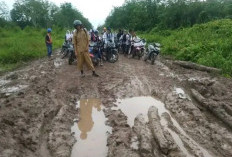 Warga dan Anak Sekolah Keluhkan Jalan Jalur 20 Desa Sidomulyo, Seperti Kubangan Kerbau