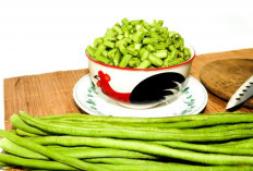 Ingin BAB Lancar dan Gula Darah Stabil? Makan Kacang Panjang!