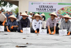 Terus Komitmen Kendalikan Inflasi, Gerakan Tanam Cabai dan Bawang Merah Serentak se-Sumsel Dilaunching