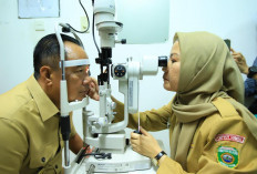 Sinergi Pemprov, Perusahaan dan Rumah Sakit Jadi Kunci Tingkatkan Kesehatan di Sumsel