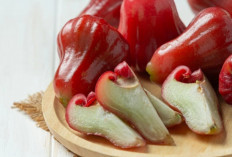 Kolesterol Turun Tanpa Obat! Ini Manfaat Dahsyat Serat dalam Jambu Air