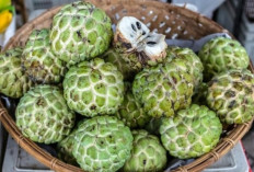 Jarang Diketahui! 7 Manfaat Dahsyat Buah Srikaya untuk Kesehatan