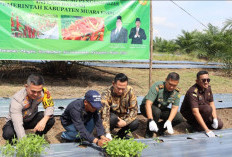 Pj Bupati Canangkan Gerakan Tanam Cabai dan Vaksinasi Rabies Serentak 