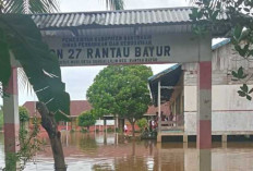 19 Sekolah Terendam Banjir, Ini Intruksi Pj Bupati Banyuasin! 