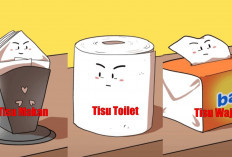 Kenali Perbedaan Tisu Makan, Tisu Toilet, dan Tisu Wajah yang Sering Salah Penggunaan