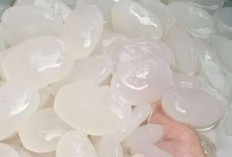 Kolang-Kaling, Camilan Tradisional yang Bantu Jaga Kesehatan Usus