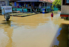 Camat Rantau Bayur Ingatkan Orang Tua Awasi Anak saat Banjir