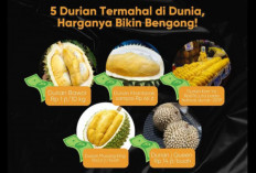 5 Durian Termahal di Dunia dengan Harga Fantastis, Bisa Buat Beli Rumah