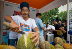 Kelompok Petani Durian di Pekalongan Makin Berkembang Berkat Pemberdayaan BRI