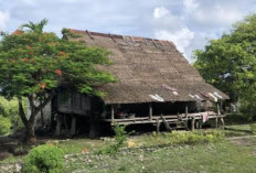 Rumah Adat dan Keramahan: Pesona Desa Tanimbar Kei yang Tak Terlupakan