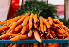 Manfaat Wortel untuk Kesehatan Mata: Sumber Alami Vitamin A yang Penting untuk Penglihatan