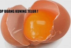 Stop Buang Kuning Telur, Ternyata Bukan hanya Kaya Nutrisi, Kuning Telur Baik untuk Kesehatan Mata dan Otak