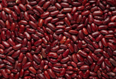 7 Manfaat Ajaib Kacang Merah yang Tak Banyak Diketahui, Nomor 3 Bikin Kaget!