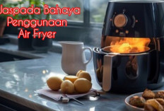 Mengungkap Bahaya yang Tersembunyi dari Air Fryer untuk Kesehatan Anda