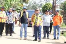 Jalan Alfa One - Tanjung Sari Mulus, Bupati Banyuasin Minta Dirawat Bersama