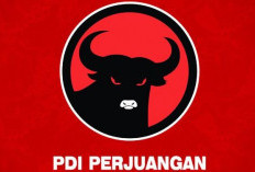 Hasil Sementara, PDI P Raih Suara Terbanyak di Banyuasin