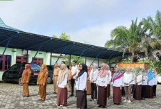 Nasib Honorer Banyuasin di Ujung Tanduk: Gaji Tak Pasti, Pemutusan Kontrak Menghantui