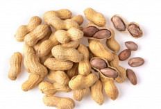 Kacang Tanah atau Almond? Inilah Juara Protein Nabati Sesungguhnya