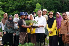 Banyuasin Gencarkan Aksi Penanaman Cabai di Lahan Kosong untuk Kendalikan Harga