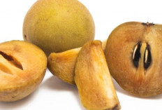 Ingin Wajah Mulus dan Segar? Konsumsi Buah Ini Setiap Hari!