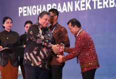 Hebat ! Provinsi Sumsel Terima Apresiasi Proyek Strategis Nasional Kategori Provinsi