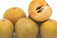 Hanya dengan Makan Buah Ini, Risiko Osteoporosis Bisa Turun Drastis!