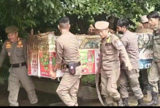 Satpol PP Banyuasin Bongkar Lapak Pedagang di Taman Kota Pangkalan Balai