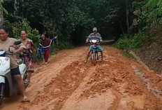 Jalan Rimba Alai - Sidang Emas Berubah Jadi Lumpur Saat Hujan, Debu Berterbangan Saat Panas, Warga Mengeluh