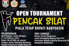 Harian Banyuasin Bakal Gelar Open Tournament Pencak Silat Piala Tetap Bupati Banyuasin 2025, Catat Tanggalnya!