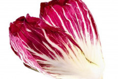 Rosalba Radicchio, Sayuran dari Italia dengan Segudang Manfaat untuk Tubuh