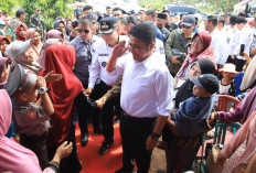 Putus Ditabrak Tongkang, Jembatan P.6 Lalan Mulai Direvitalisasi