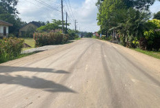 Terima Kasih Pak Hani! Jalan Alfa One-Tanjung Sari Banyuasin Mulus Beton, Masyarakat Puas dan Senang