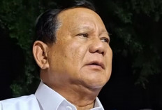 Daftar Calon Menteri dan Calon Wamen yang Dipanggil Prabowo, Pertinggi Partai Hingga Artis